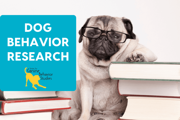 Dog Behavior Research: An Interview with Allie Tellier of the Center for Canine Behavior Studies | Pupford