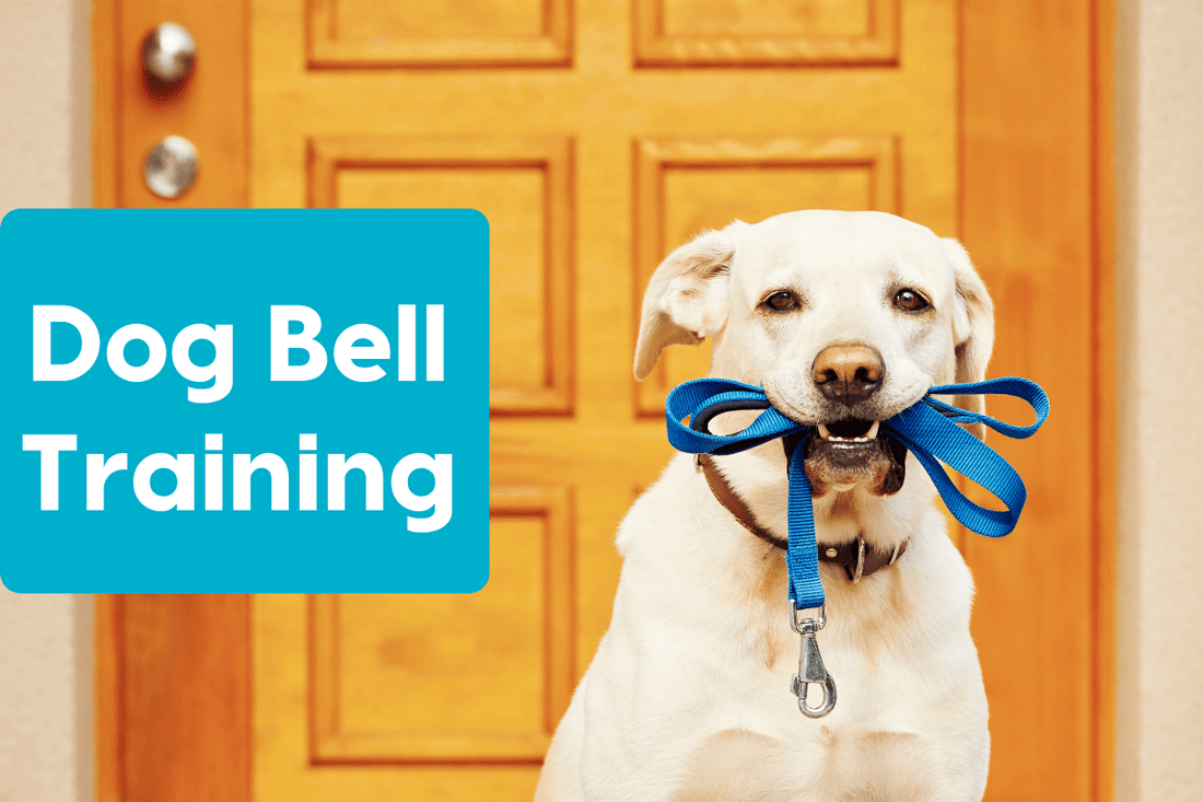 Bell Training a Dog – Teaching a Puppy to Use Potty Bells | Pupford