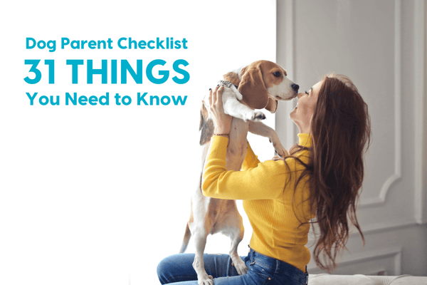 31 Vital Things to Know Before Getting a Dog: Ultimate Checklist