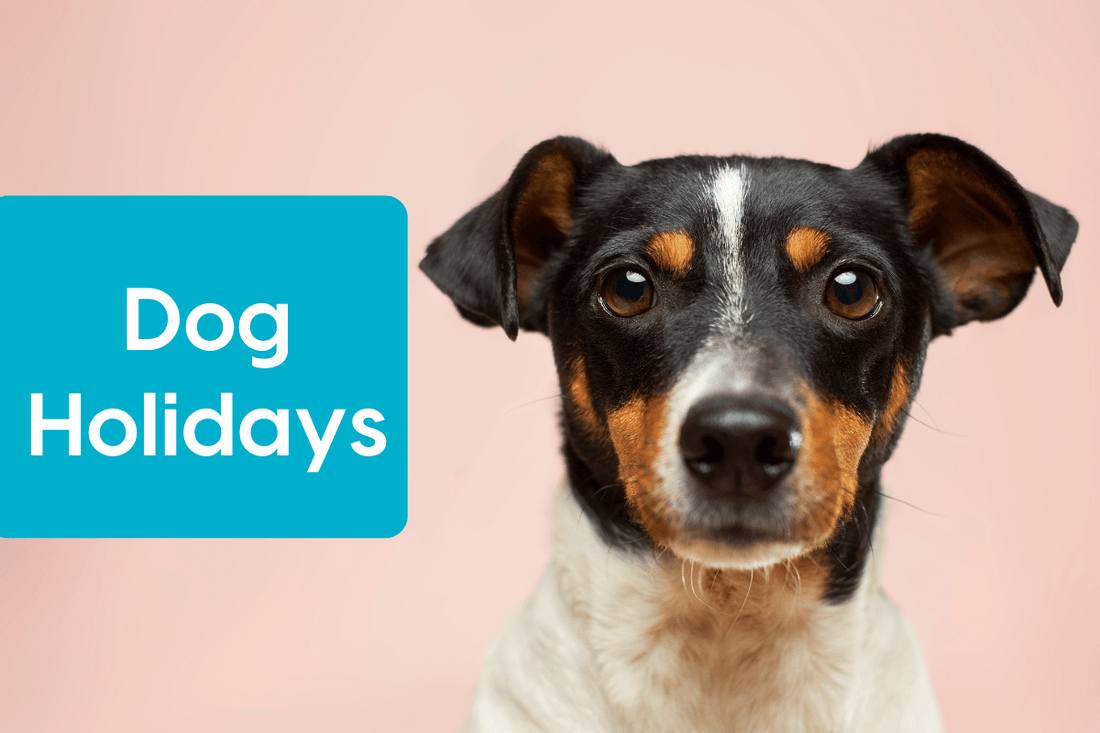 Dog Holidays Calendar: 2024 with Google Calendar Sync | Pupford