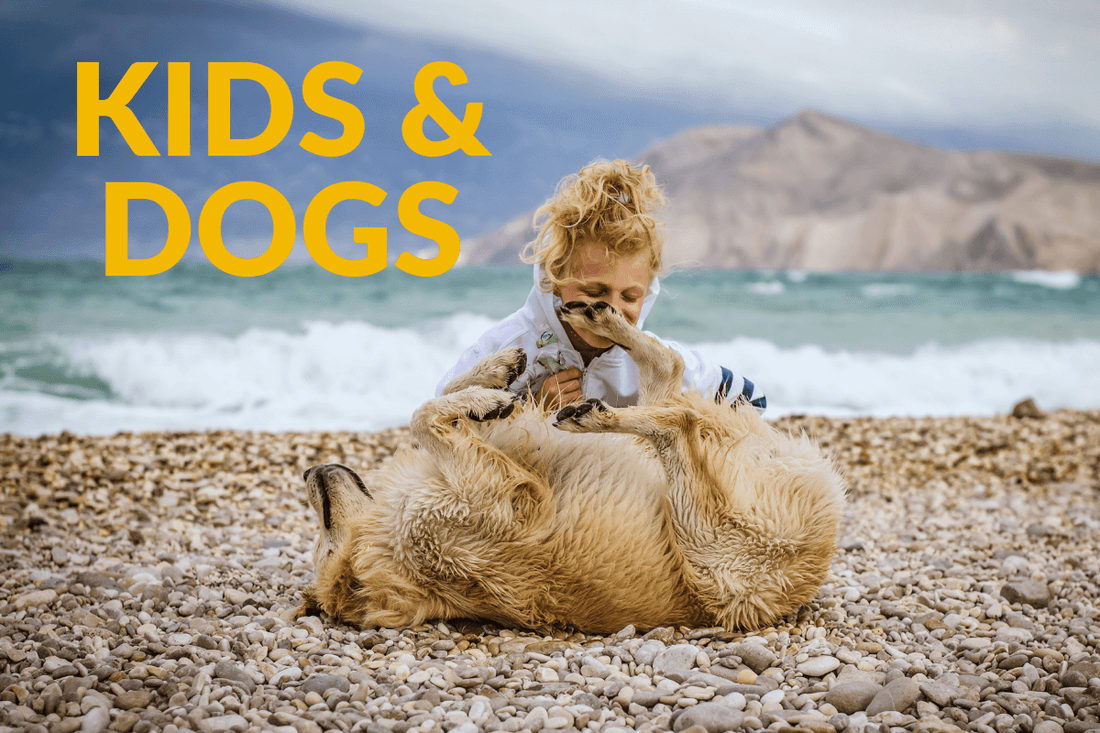 Dogs and Kids Guide: Training, Home Prep & Guidelines for Healthy Kid-Dog Relationships | Pupford