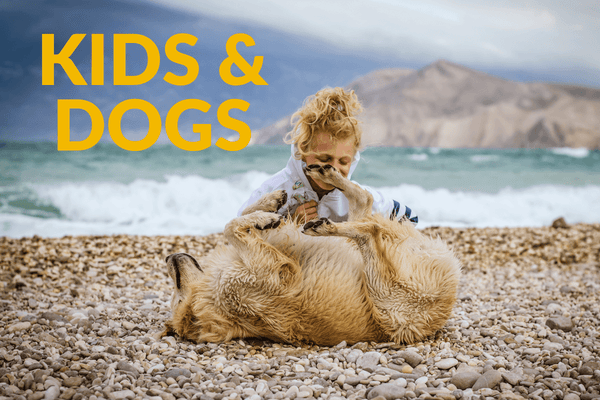 Dogs and Kids Guide: Training, Home Prep & Guidelines for Healthy Kid-Dog Relationships | Pupford