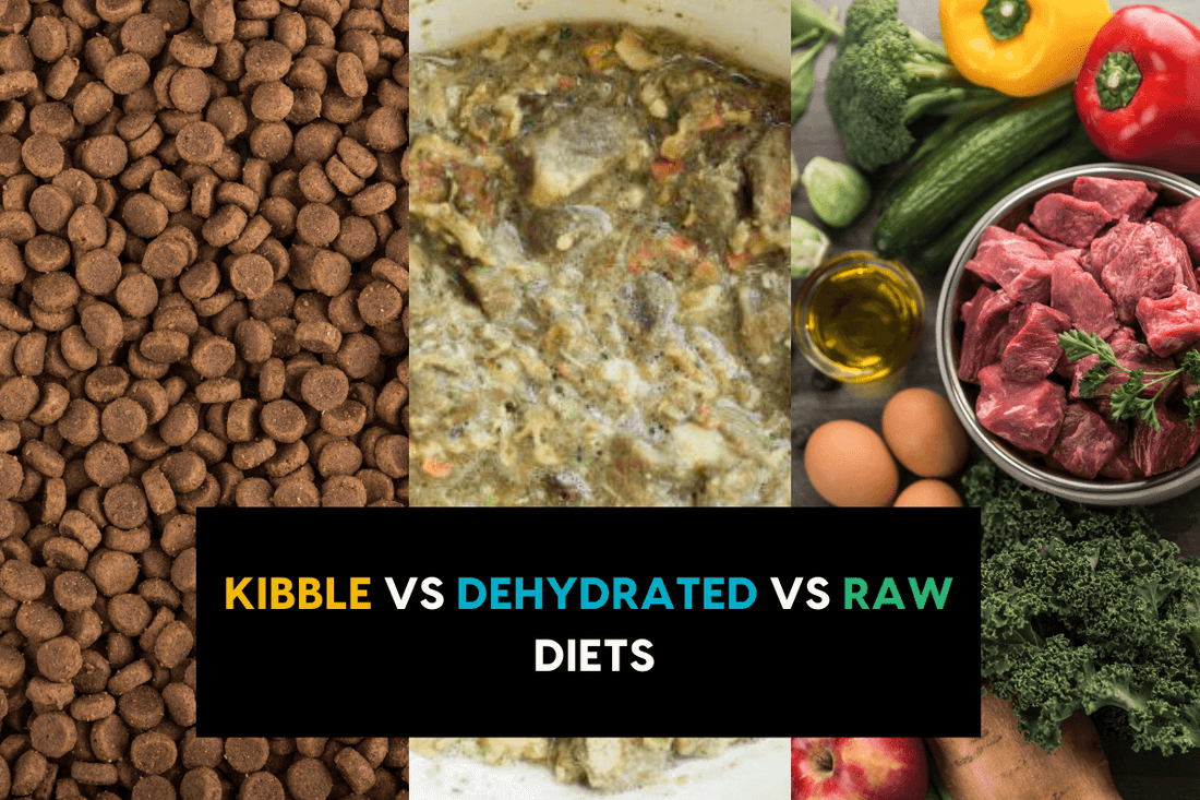 Kibble vs Freeze Dried & Dehydrated Dog Food vs Raw Diets | Pupford