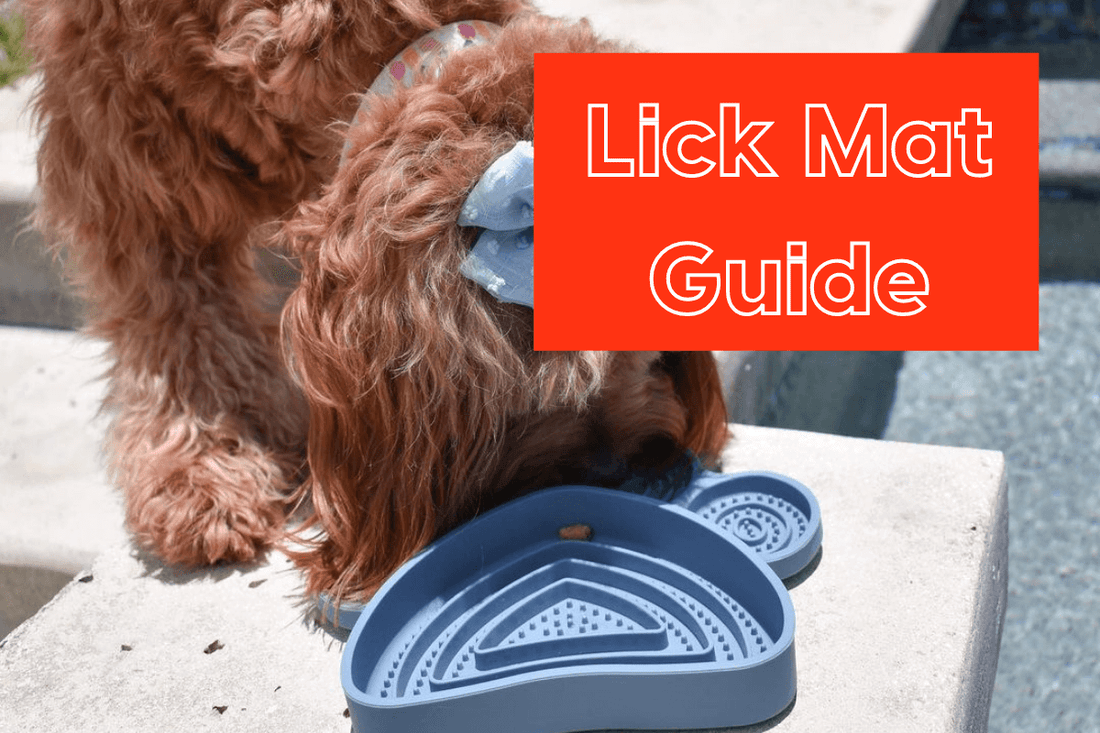 Lick Mat for Dogs Guide: Recipes, Benefits & How to Clean [2025 Update] | Pupford