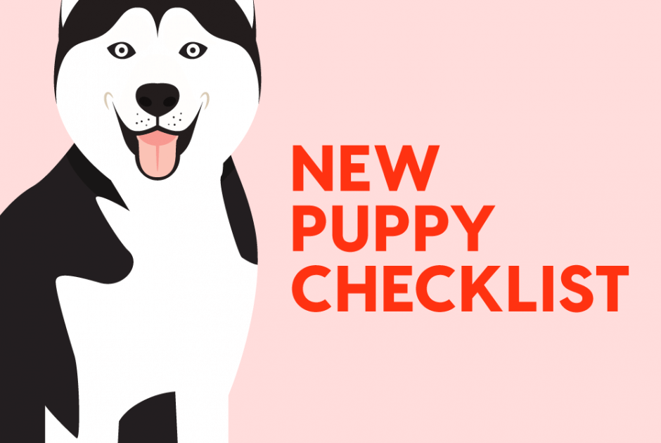 New Puppy Checklist: 21 Items Your Dog Absolutely Needs | Pupford