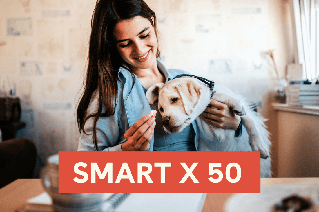 SMART x 50 Dog Training Method | Pupford