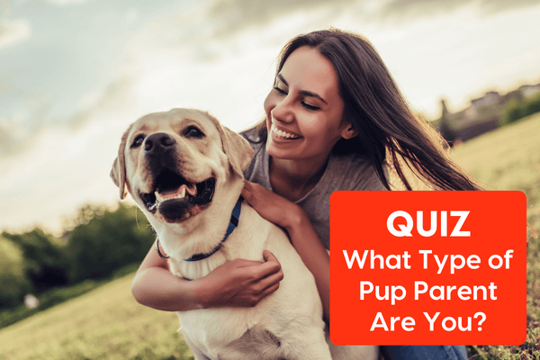 What Type of Pup Parent Are You? [quiz] | Pupford