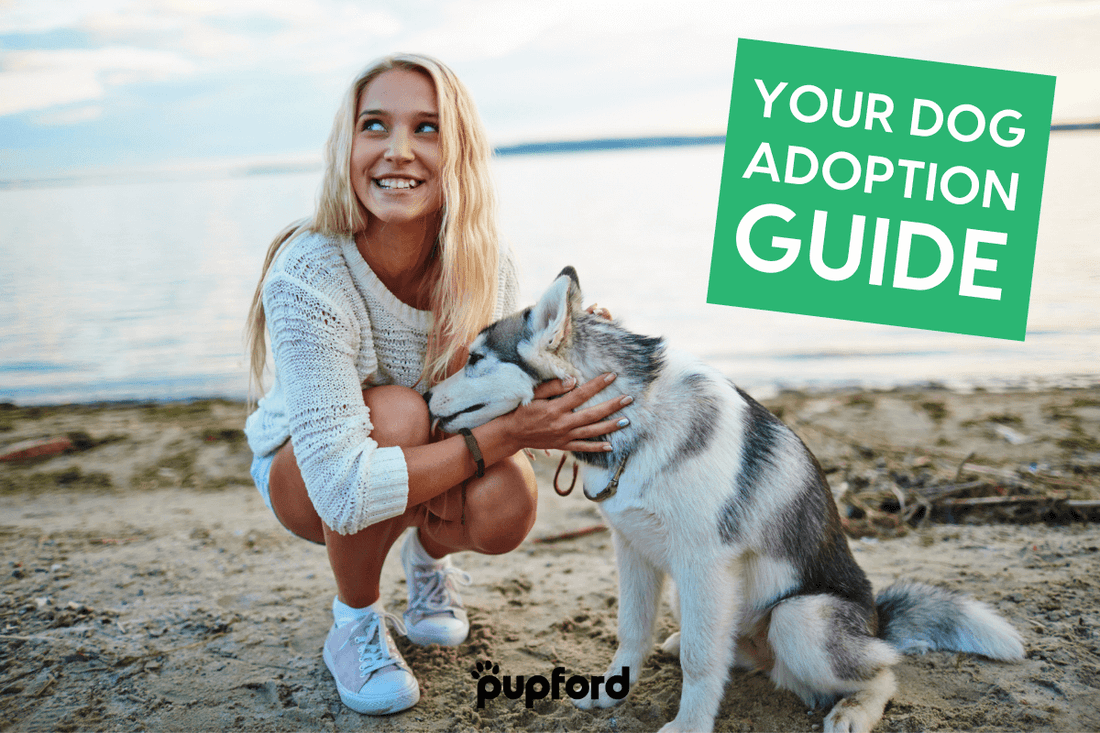 Dog Adoption Guide: Choosing a Breed, Home Prep & More | Pupford