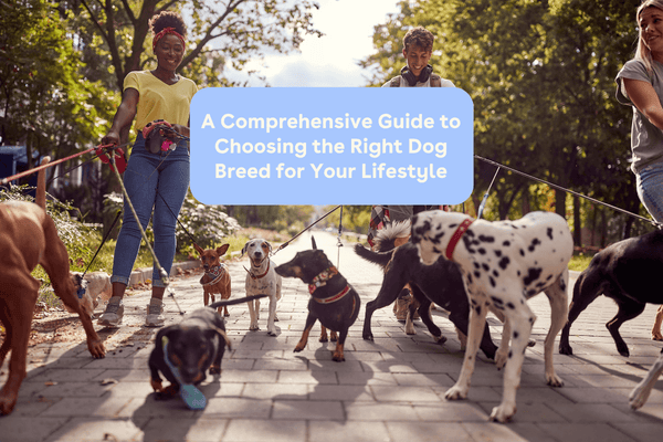 A Comprehensive Guide to Choosing the Right Dog Breed for Your Lifestyle | Pupford
