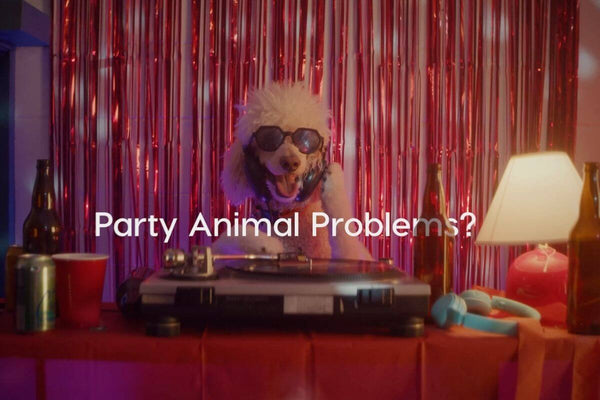 Make Your Good Dog... Even Gooder | Pupford