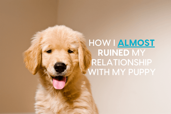 How I ALMOST Ruined My Relationship with My Puppy | Pupford
