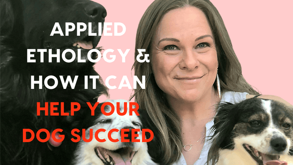 Applied Ethology and How It Can Help Your Dog Succeed: An Interview with Kim Brophey | Pupford