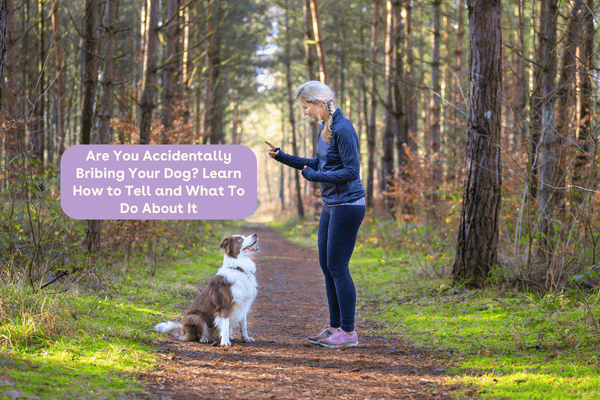 Are You Accidentally Bribing Your Dog? Learn How to Tell and What To Do About It | Pupford