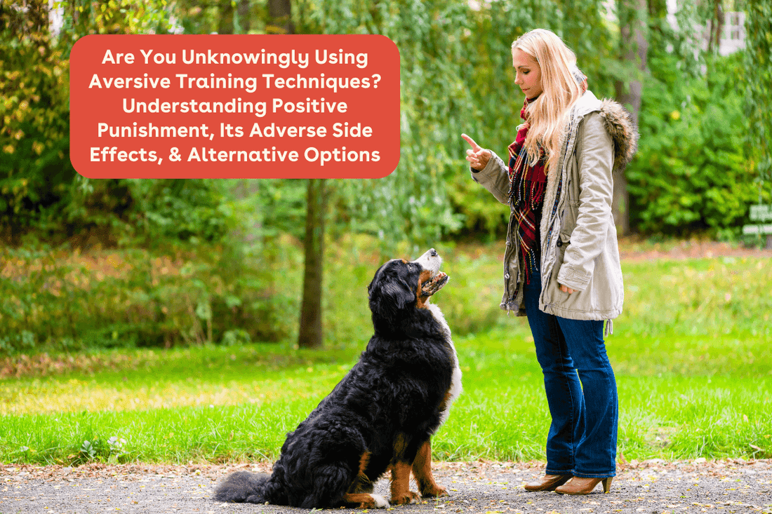 Are You Unknowingly Using Aversive Training Techniques? Understanding Positive Punishment, Its Adverse Side Effects, & Alternative Options | Pupford