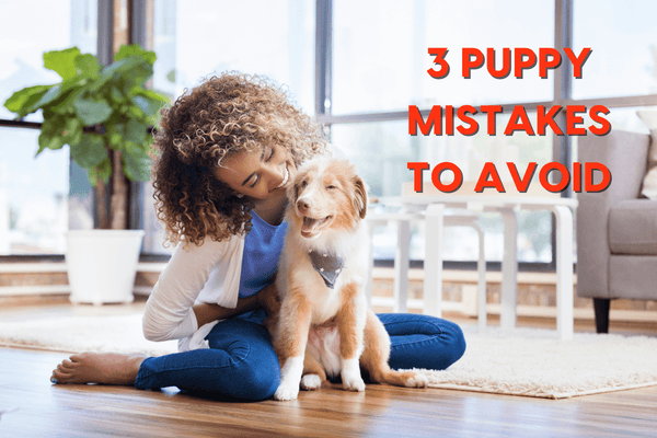 What Not To Do With a Puppy: 3 Mistakes to Avoid | Pupford