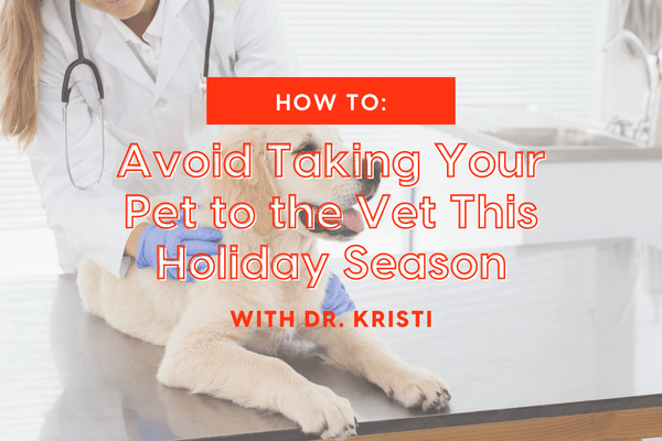 How to Avoid Taking Your Pet to the Vet This Holiday Season - With Dr Kristi | Pupford