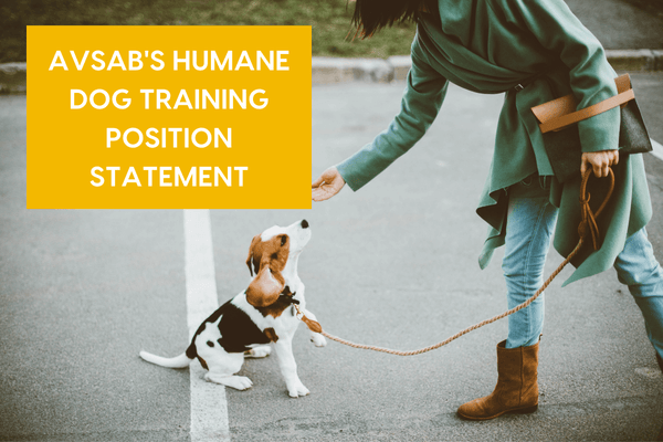 AVSAB's Position Statement on Humane Dog Training: Analysis | Pupford