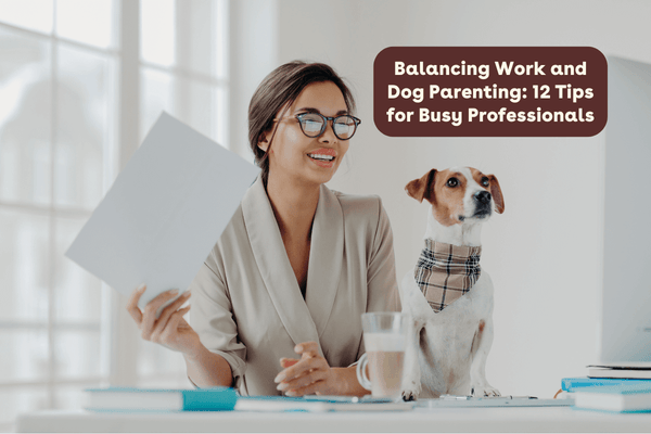 Balancing Work and Dog Parenting: 12 Tips for Busy Professionals | Pupford