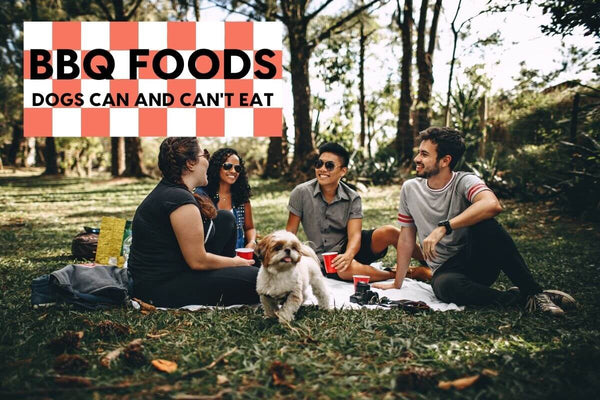 BBQ Foods Dogs Can and Can't Eat - Chicken, Chips & More | Pupford