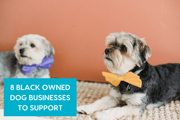 Black-Owned Dog Businesses to Support | Pupford