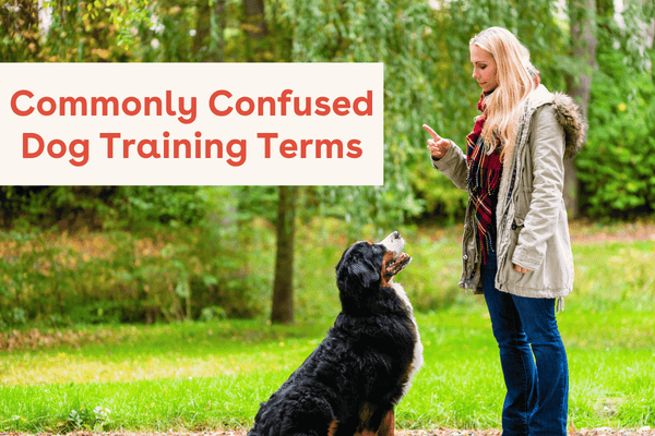 Commonly Confused Dog Training Terms - Leave It vs Drop It & More | Pupford