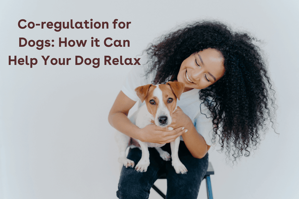 Co-regulation for Dogs: How it Can Help Your Dog Relax | Pupford