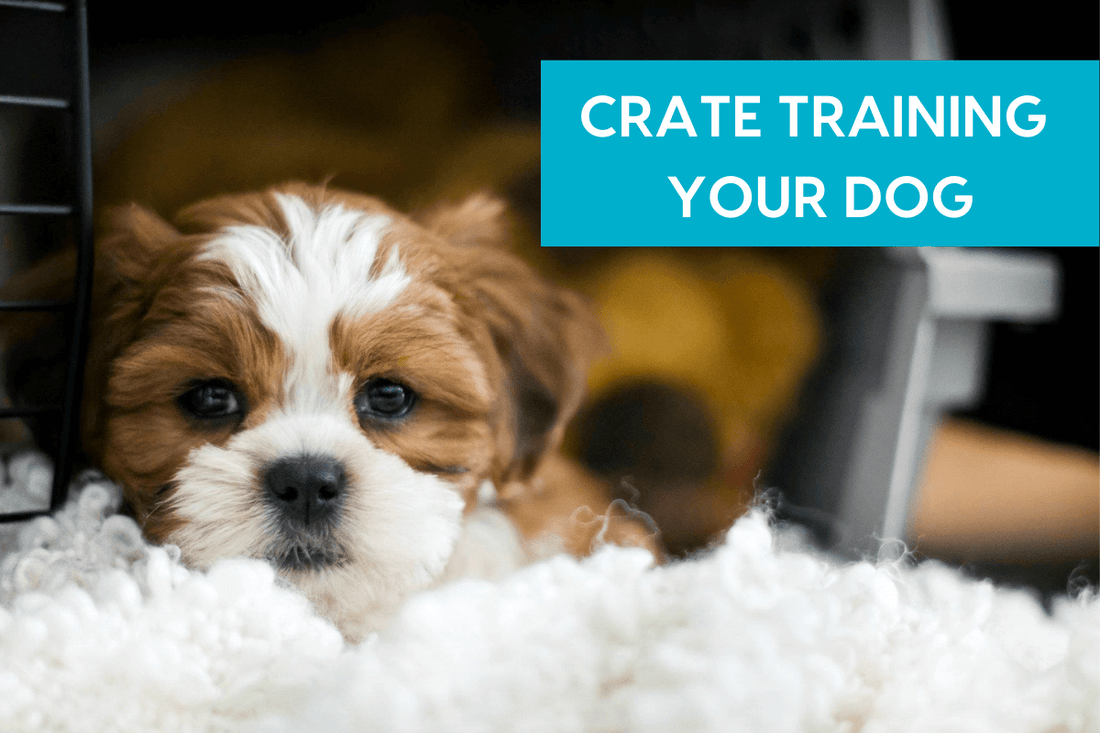 Puppy Crate Training: A Complete Guide w/Schedule & Videos | Pupford