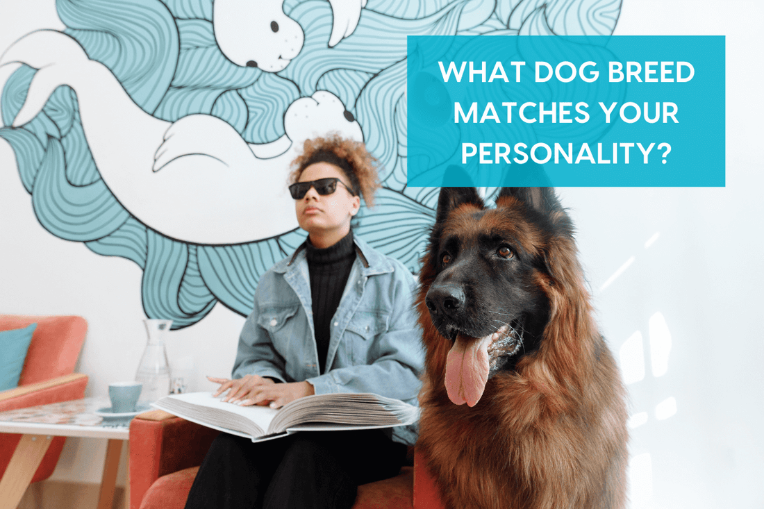 [Quiz] What Dog Breed Matches My Personality? | Pupford