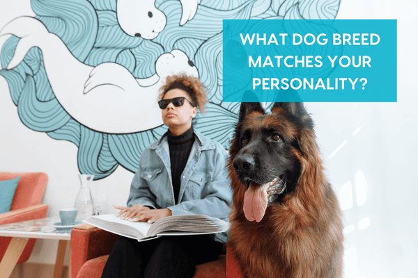 [Quiz] What Dog Breed Matches My Personality? | Pupford