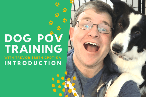 Introducing the Dog Training POV Series with Trevor Smith | Pupford
