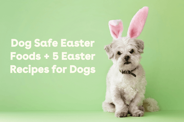 Dog Safe Easter Foods + 5 Easter Recipes for Dogs | Pupford