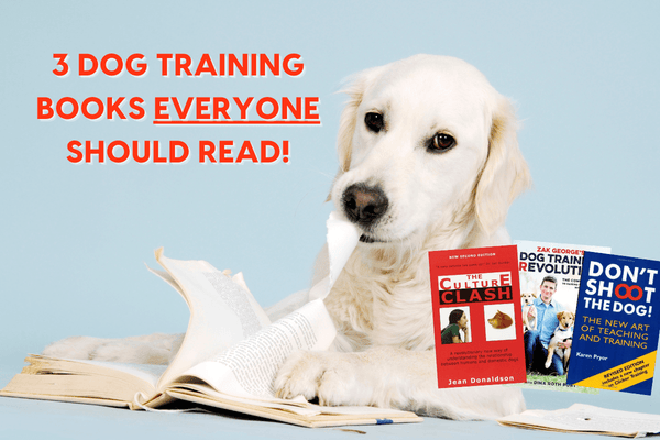 6 Best Dog Training Books EVERY Pup Parent Should Read | Pupford