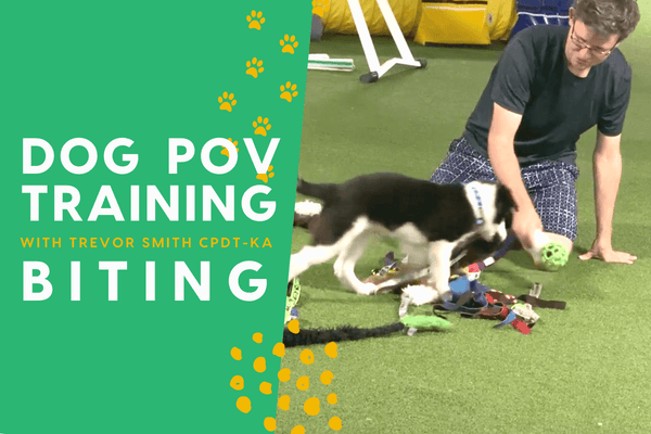 The Dog Training POV Series with Trevor Smith - Puppy Biting | Pupford