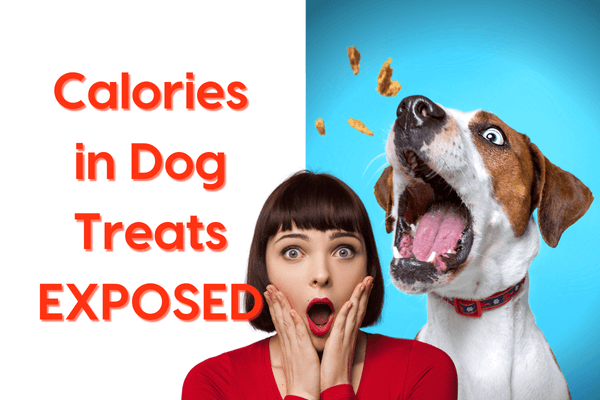 Treat Truth: The Sneaky Side of Calories in Dog Treats | Pupford