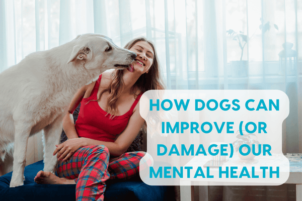 How Dogs Can Improve (or Damage) Our Mental Health: Interview with Chrissy Lawler Licensed Therapist | Pupford