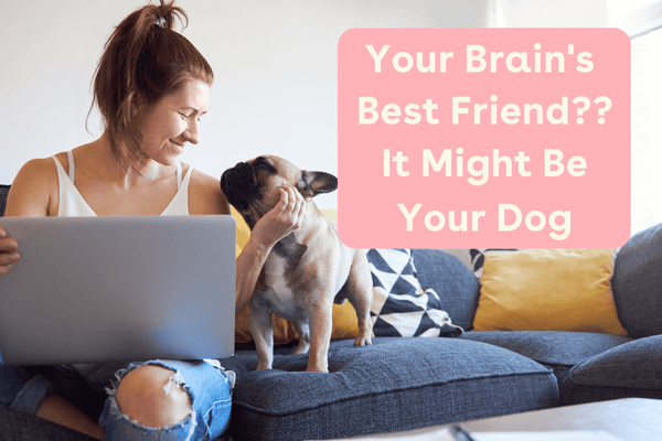 Your Brain’s Best Friend? It Might Be Your Dog | Pupford