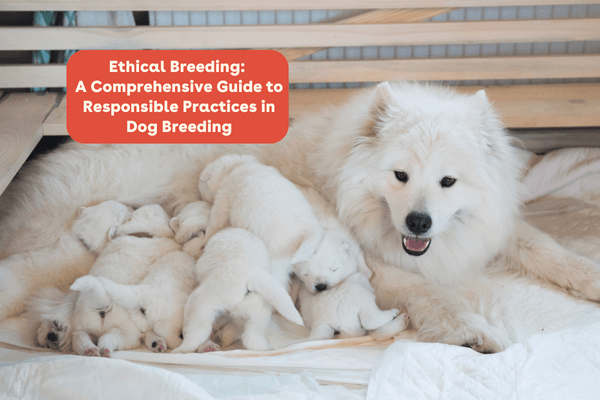 Ethical Breeding: A Comprehensive Guide to Responsible Practices in Dog Breeding | Pupford