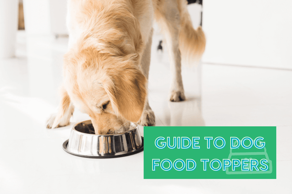 Dog Food Toppers Guide: What Are They, How to Use & More | Pupford