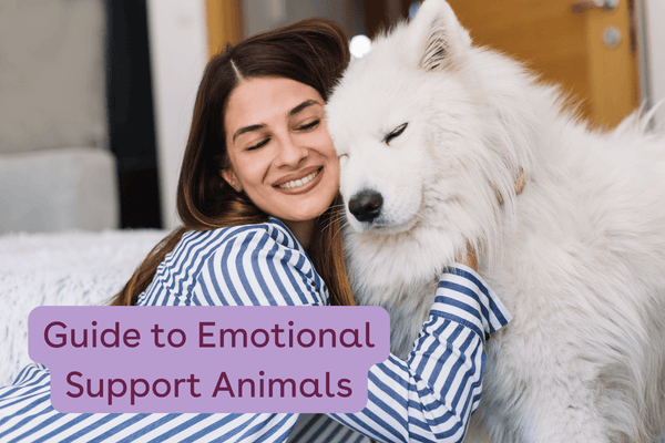 Guide to Emotional Support Animals: Characteristics, Training, What Rights They Have | Pupford