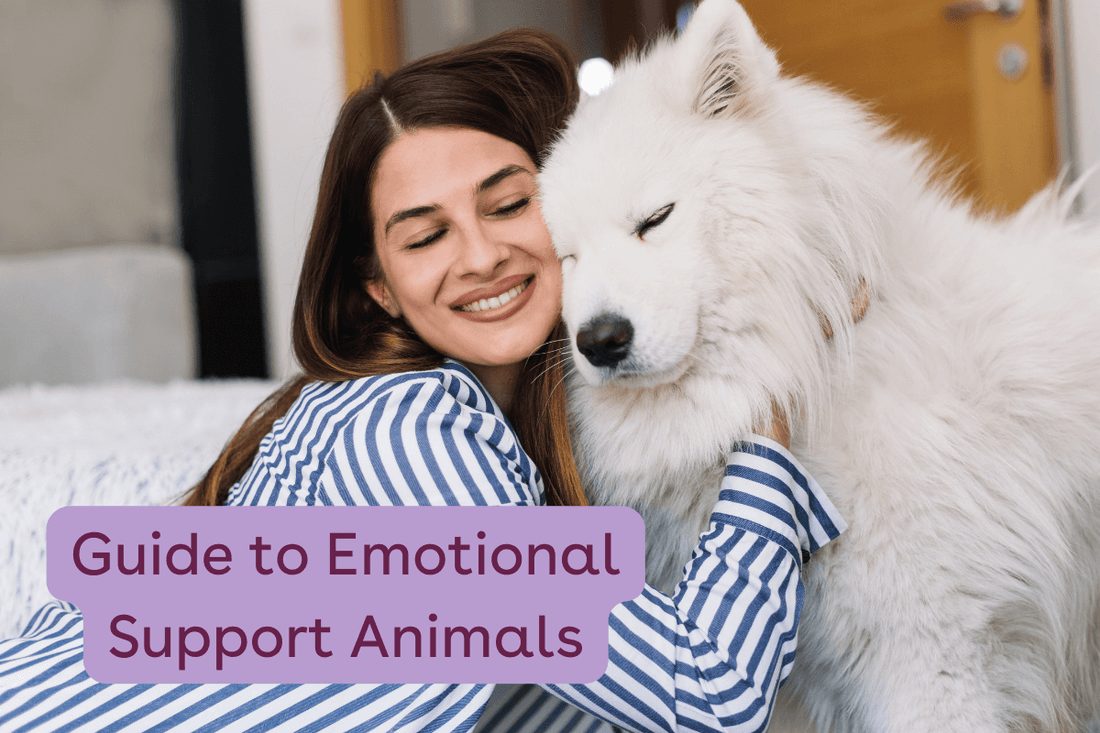 Guide to Emotional Support Animals: Characteristics, Training, What Rights They Have | Pupford