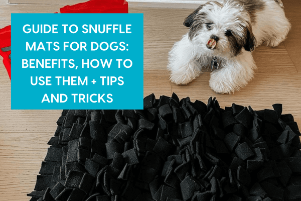 Guide to Snuffle Mats For Dogs & Puppies: Benefits, How to Use, Cleaning and More | Pupford