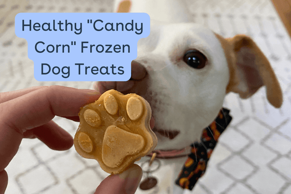 [Recipe] Healthy "Candy Corn" Frozen Dog Treats | Pupford