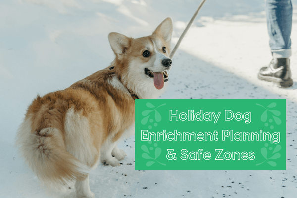 Holiday Dog Enrichment Planning & Safe Zones with Emily Fitzpatrick | Pupford