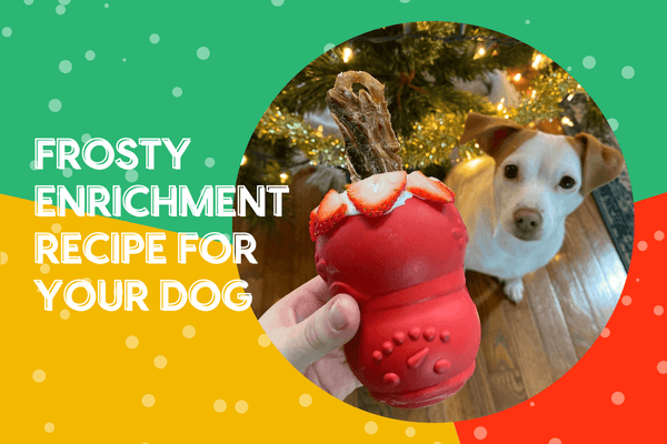 Holiday-Themed Enrichment Recipe for Your Dog | Pupford