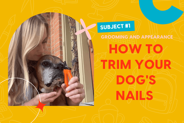 How to Trim Dog Nails at Home, Including Black Dog Nails | Pupford