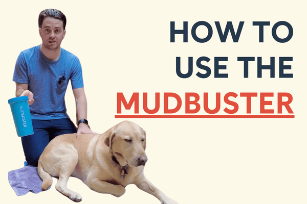 How to Use the MudBuster Paw Cleaner - Video & Steps | Pupford