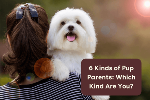 6 Kinds of Pup Parents: Which Kind Are You? | Pupford