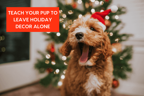 How to Train Your Dog to 'Leave It' With Holiday Decor | Pupford