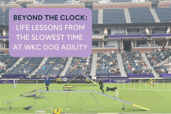 Beyond the Clock: Vital Lessons Learned from the Slowest Dog at WKC Agility | Pupford