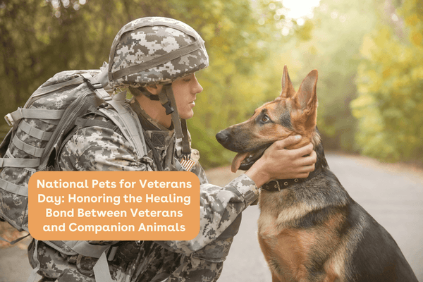 National Pets for Veterans Day: Honoring the Healing Bond Between Veterans and Companion Animals | Pupford